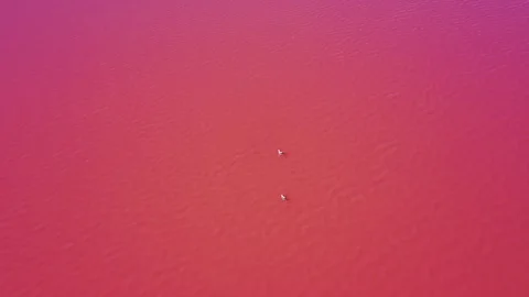 Red Lake Stock Footage 117747525