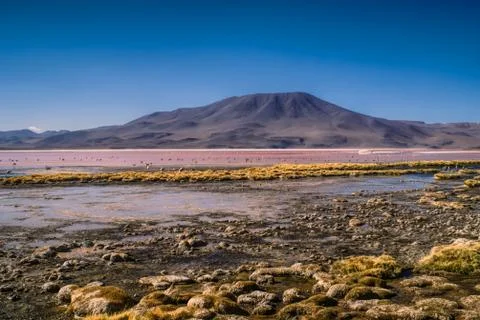 Red lake Stock Photos