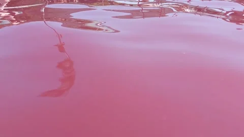 Red Lake Water Video stock 314579607