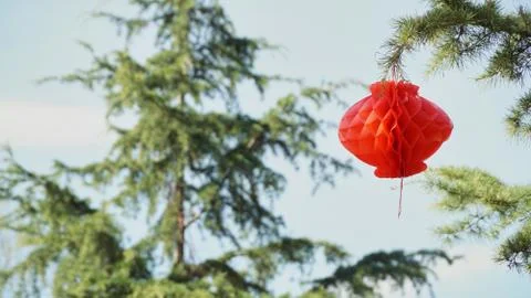 Red Lamp on the tree Stock Photos