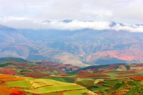Red land Stock Photos