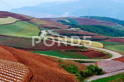 Red land Stock Photos