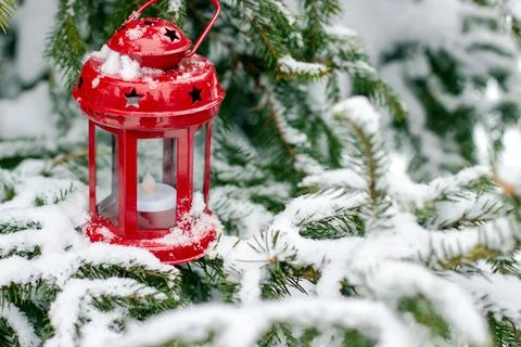 Red lantern on branches of spruce covered with snow Stock Photos