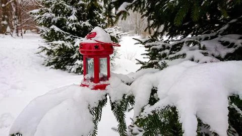 Red lantern on branches of spruce covered with snow Stock Photos