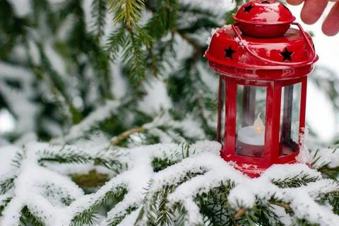 Red lantern on branches of spruce covered with snow Stock Photos
