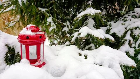 Red lantern on branches of spruce covered with snow Stock Photos