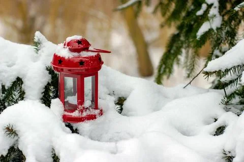 Red lantern on branches of spruce covered with snow Stock Photos