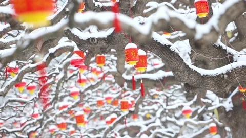 Red lantern Stock Footage 343696470