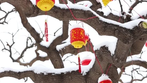 Red lantern Video stock 343696473