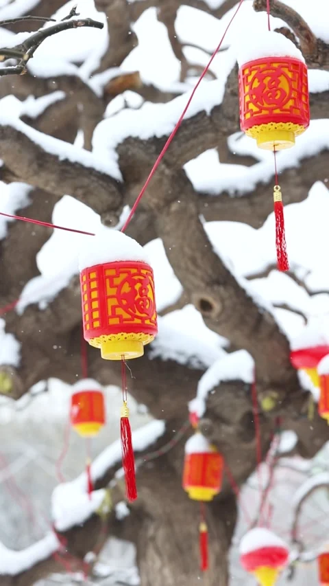 Red lantern 库存影片 343696474