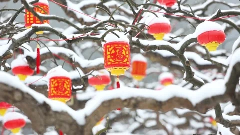 Red lantern Stock Footage 343696525