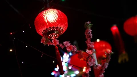 A red lantern is hanging from a tree Видео 314389571
