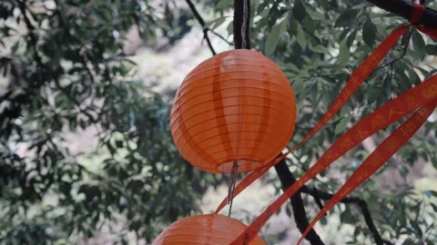 Red lantern material hanging on the tree 動画素材 320354225