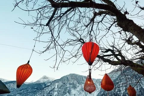 Red lanterns hanging from bare branches against a backdrop of snow-capped m.. Stock Photos