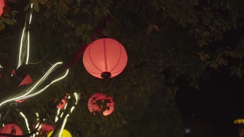Red lanterns hanging on the street trees Stock Footage 148053545