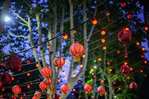 Red lanterns hanging on strings with trees in the background Foto stock