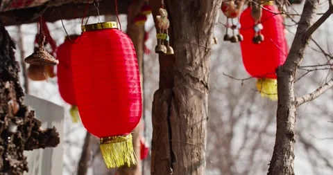 Red lanterns hanging from the trees swayed in the wind 動画素材 256863790