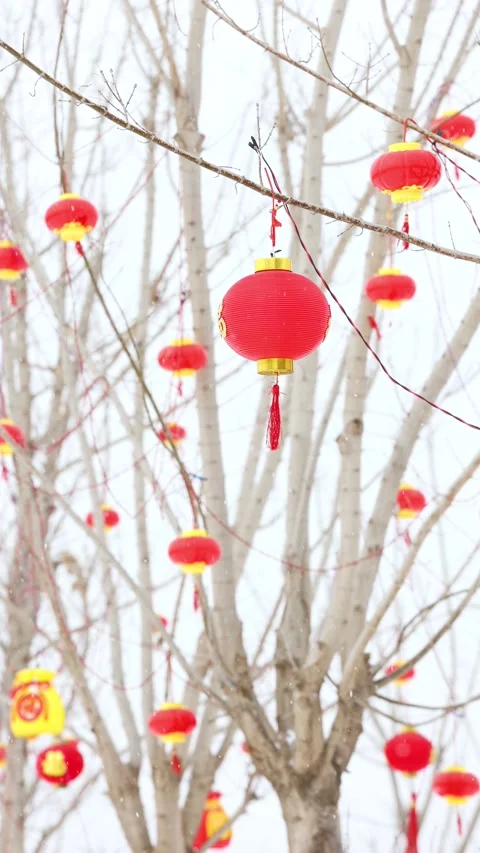 Red lanterns in the snow Vídeo Stock 347106009