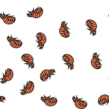 Red larva colorado beetle vector seamless pattern Stock Illustration