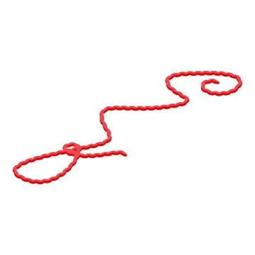 Red lasso icon, isometric style 스톡 일러스트