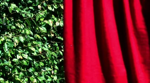 Red Laundry Green Leaves Light Breeze Stock Footage 8692350
