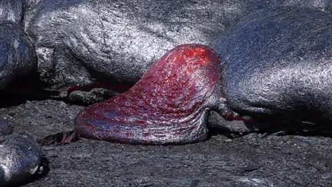 Red lava oozing out of already cooled black lava Stock Footage 163180462