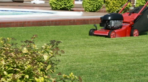 Red Lawn-mower mowing grass in yard on sunny day by pool Stock Footage 49533856
