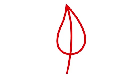 Red leaf drawn white Stock Footage 246861983