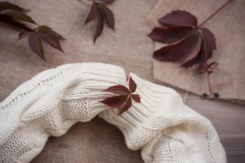 Red leaf in hand Stock Photos