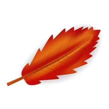 Red leaf icon, realistic style 스톡 일러스트