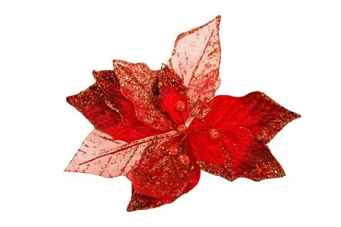 Red leaf isolated Stock Photos