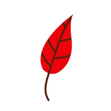 Red leaf isolated on a white background. Fallen leaf. Birch leaf Stock Illustration