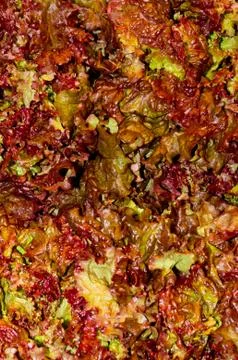 Red leaf lettuce on display 스톡 사진