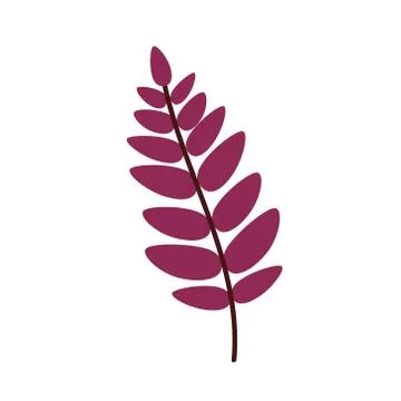 Red leaf of a mountain ash isolated on a white background. A fallen Rowan leaf Stock Illustration