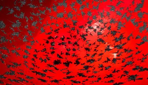 Red leaf texture. Leaf texture background iron bowl art Stock Photos