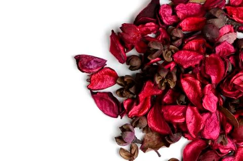 Red leaf texture Stock Photos