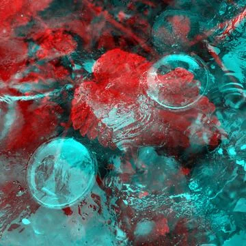 Red leaf is under teal turquoise water. Stock Photos