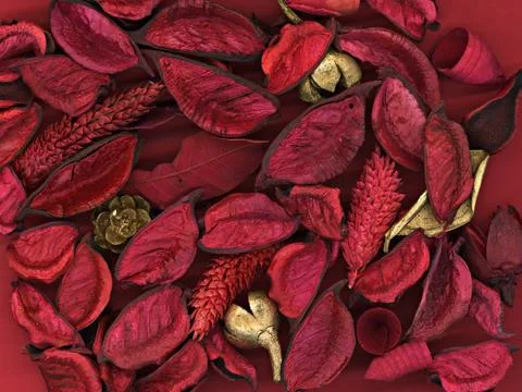 Red leafs background Stock Photos