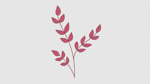 Red leafy twig Stock Footage 337934286