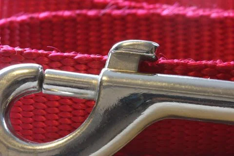Red Leash Foto stock