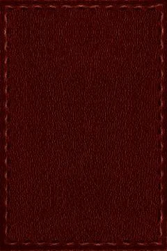 Red leather background Stock Photos