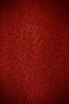 Red leather background Stock Photos