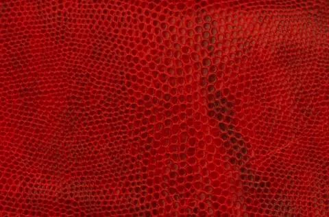 Red leather texture Stock Photos