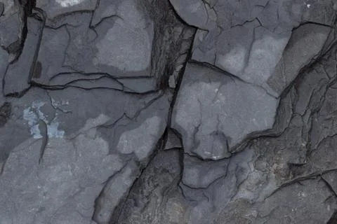 Red Leaves in Fall Stock Photos