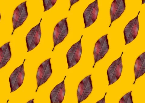 Red leaves pattern on a yellow background Stock Photos