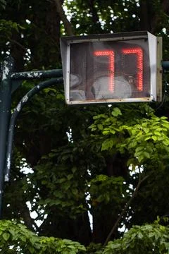 Red LED Traffic Countdown Timer Displaying Number 77 on Black Metal Pole Su.. 写真素材