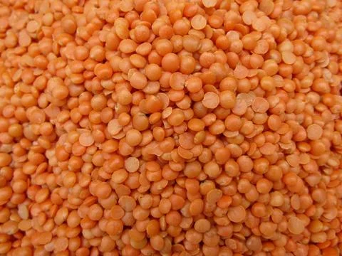 Red lentil close-up view  Stock Photos