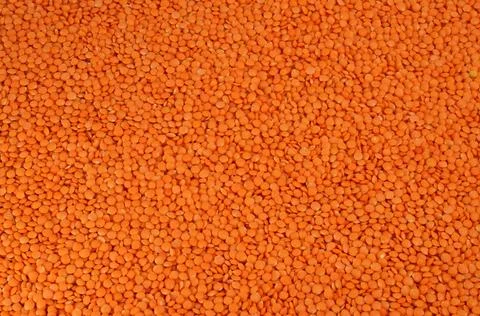 Red lentil texture backdrop. Flat lay orange seeds background. Stock Photos