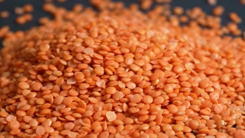 Red lentils 1 Stock Footage 322534658