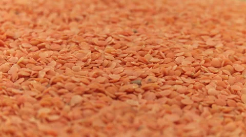 Red lentils 2 Stock Footage 31136996